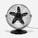 Max Weber, Fan