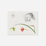 Robert Lostutter, Untitled