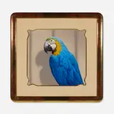 Tom Palmore, Parrot, 1985, oil on paperboard