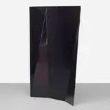Oscar Tuazon, Manzanita, 2011, digital c-print mounted aluminum