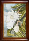 Lili Philips, Night Blooming Cereus, Watercolor on paper