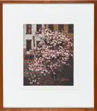 Frederick Mershimer, Magnolia, 1988, Pencil numbered, titled, signed and dated