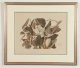 John James Audubon, Black-billed Cuckoo, Reproduction color print, printed 1937, of "Black-billed Cuckoo"