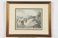Thomas Doughty, Swans, circa 1830-33, Lithograph by Childs and Inman