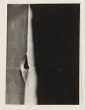 Julie A. Jensen, Untitled, 1976, Silver photograph