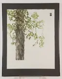 Tessa Beaver, Spring Shagbark Hickory, Pencil signed, titled and numbered