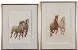 French School, Pair of Horse Watercolors, Watercolor on paper