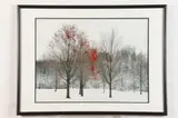 Diane Pattie, Early Snow, Photograph