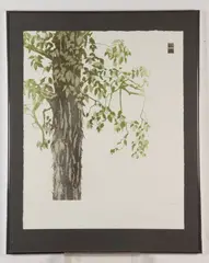 Tessa Beaver, Spring Shagbark Hickory, Pencil signed, titled and numbered