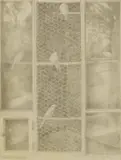 John Morley, Untitled, pencil 22.5 x 27cm Provenance: With The Piccadilly Gallery