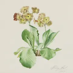 Graham Rust, Untitled, watercolour 22.5 x 21.5cm