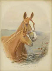 Untitled by Charles Edward Stewart, watercolour 37 x 25.5cm (2), sold Jun 2022