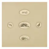 Snr. John Frederick Herring, Study of two Trout, surrounded by four vignettes