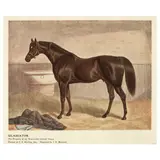 J. R. Scott after J. F. Herring Snr., Vespa, colour engraving