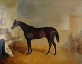 Snr. John Frederick Herring, King Cole, a bay racehorse, in a stable