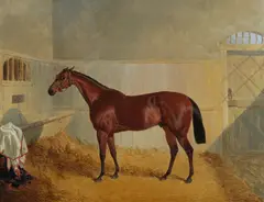 Snr. John Frederick Herring, Chantilly, a chestnut horse in a stable