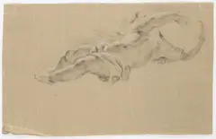 Josef Navrátil, A Study of Cupids, Second third of 19th century, Charcoal and white paint on paper