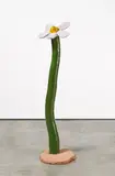 Thomas Stimm, Große Blume