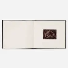 Illusory Arrangements (Artist Book) by Diana Schoenfeld, 1978, bound book, toned gelatin silver print, sold Dec 2023