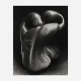 Edward Weston, Pepper #30