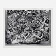 Catherine Wagner, Alfred University Science Classroom, Alfred, N.Y, 1987, vintage gelatin silver print