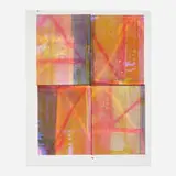 Baptiste Caccia, Noix sur une parca No. 8, 2014, screenprint on canvas