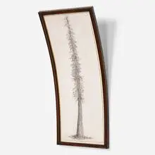 Tim Hawkinson, Bent Tree, 1988, graphite and charcoal on paper in artist's frame
