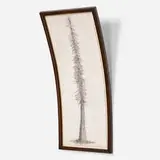 Tim Hawkinson, Bent Tree, 1988, graphite and charcoal on paper in artist's frame