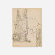 Edgar Alwin Payne, The Sycamore Stump, c. 1925, graphite on paper