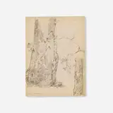 Edgar Alwin Payne, The Sycamore Stump, c. 1925, graphite on paper