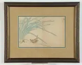 Numata Kashu, Bird, circa 1885, Meiji period polychromed woodblock printed within a book: "Picture Album of Various Birds (Shucho gafu)"; ink and color on paper