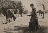 Max Liebermann, Auf Der Weide (In the Pasture), 1891/1893, Soft ground etching with etching and drypoint