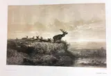 Karl Bodmer, Le Matin, Hidatsa, and Blackfoot, among many Plains nations where Bodmer executed watercolor portraits in situ