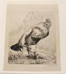 Félix Bracquemond, Le Vieux Coq (The Old Cock) 1882, Pencil signed lower right hand corner