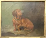 Louis Henry Weston Klingender, A Dachshund, Oil on canvas