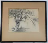 The Large Tree by American School, Pencil drawing, offered Jul 2023