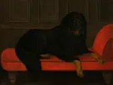 Continental School, A portrait of a Bernese Mountain Dog, oil on canvas