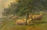 Thomas Corwin Lindsay, Sheep grazing in a meadow, oil on canvas