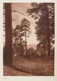 Edward S. Curtis, Flathead Camp