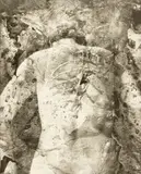 Lisa Gray, Backbone, 1991, Platinum-palladium print, mounted to board