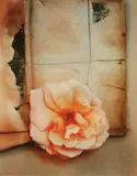 Olivia Parker, Rose, 1978, Cibachrome print