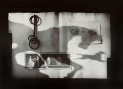 Carousel by Olivia Parker, 1982, Split-toned gelatin silver print, sold Mar 2012