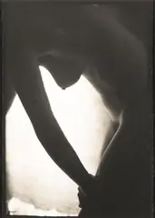 Tomio Seike, Tsis 68-3;  Tsis 86-7; Nude (Untitled #2), 1988 (2); 1995, Three toned-gelatin silver prints