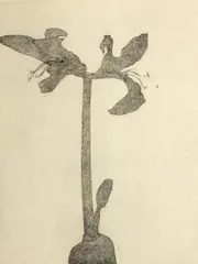 Mary Frank, Amaryllis, 1978, Etching on wove paper