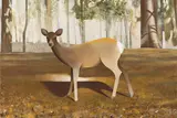 Robert Seidel, Ohne Titel, 2020, Eitempera auf Leinwand