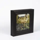 Jean-Luc Mylayne, No. 37 - 38, Août (für Parkett 50/51), 1982, 2 C-Prints, jeweils verso auf Aluminium kaschiert. In Holzobjektrahmen