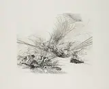 Julie Mehretu, Ohne Titel (für Parkett 76)