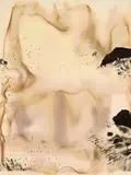 Sigmar Polke, Desastres und andere bare Wunder (für Parkett 2)