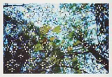 Gabriel Orozco, Light through Leaves (für Parkett 48)