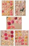 Leon Wyczółkowski, Fünf Pastelle mit Rosenblüten, Pastellkreide auf Papier